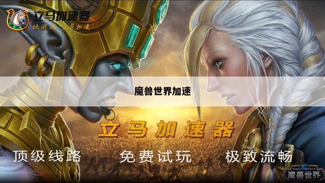 魔兽世界加速