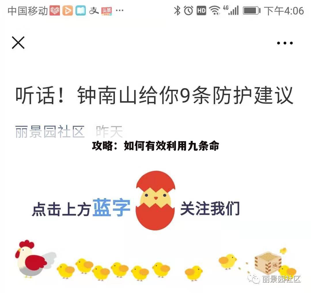 攻略：如何有效利用九条命
