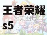 王者荣耀s5