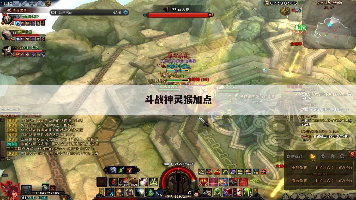 斗战神灵猴加点