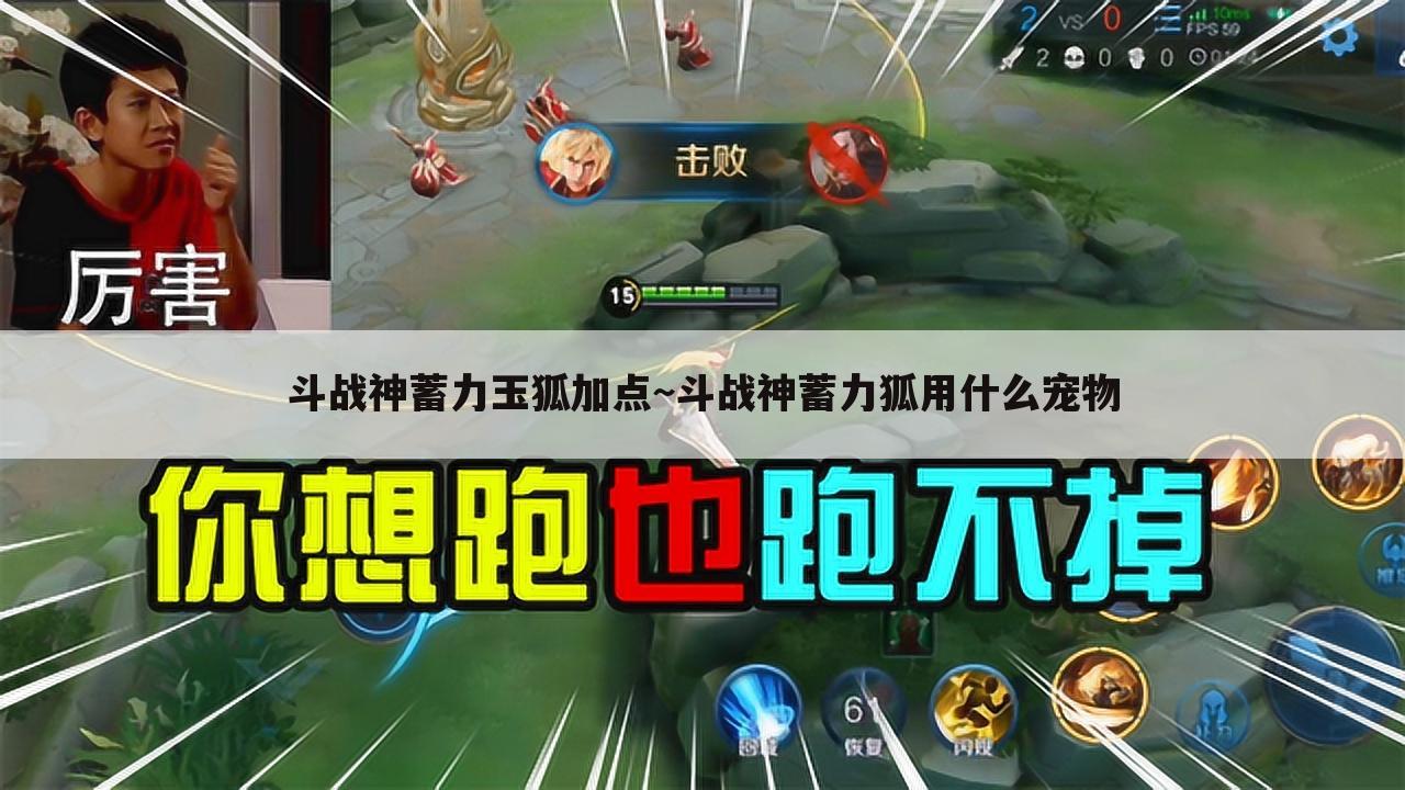 斗战神蓄力玉狐加点~斗战神蓄力狐用什么宠物