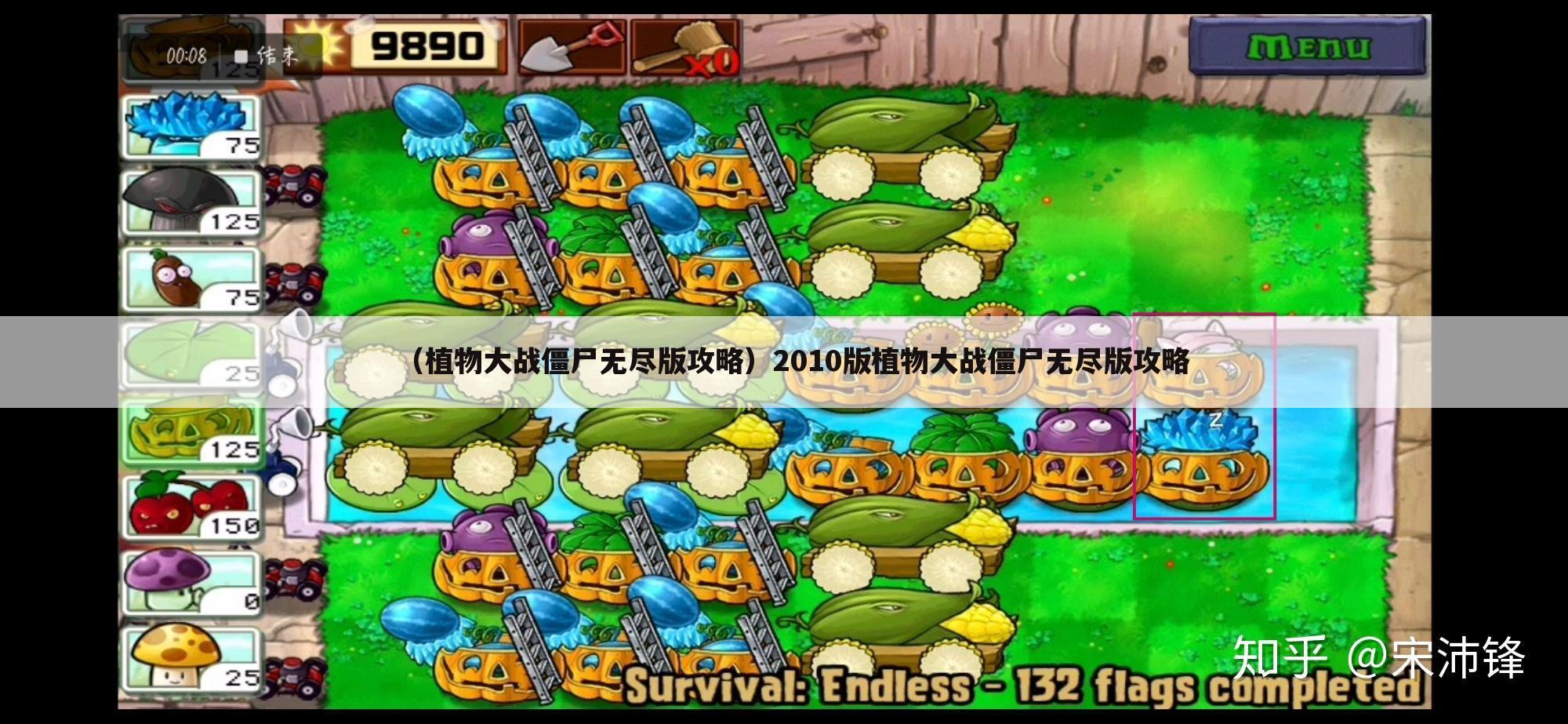 （植物大战僵尸无尽版攻略）2010版植物大战僵尸无尽版攻略