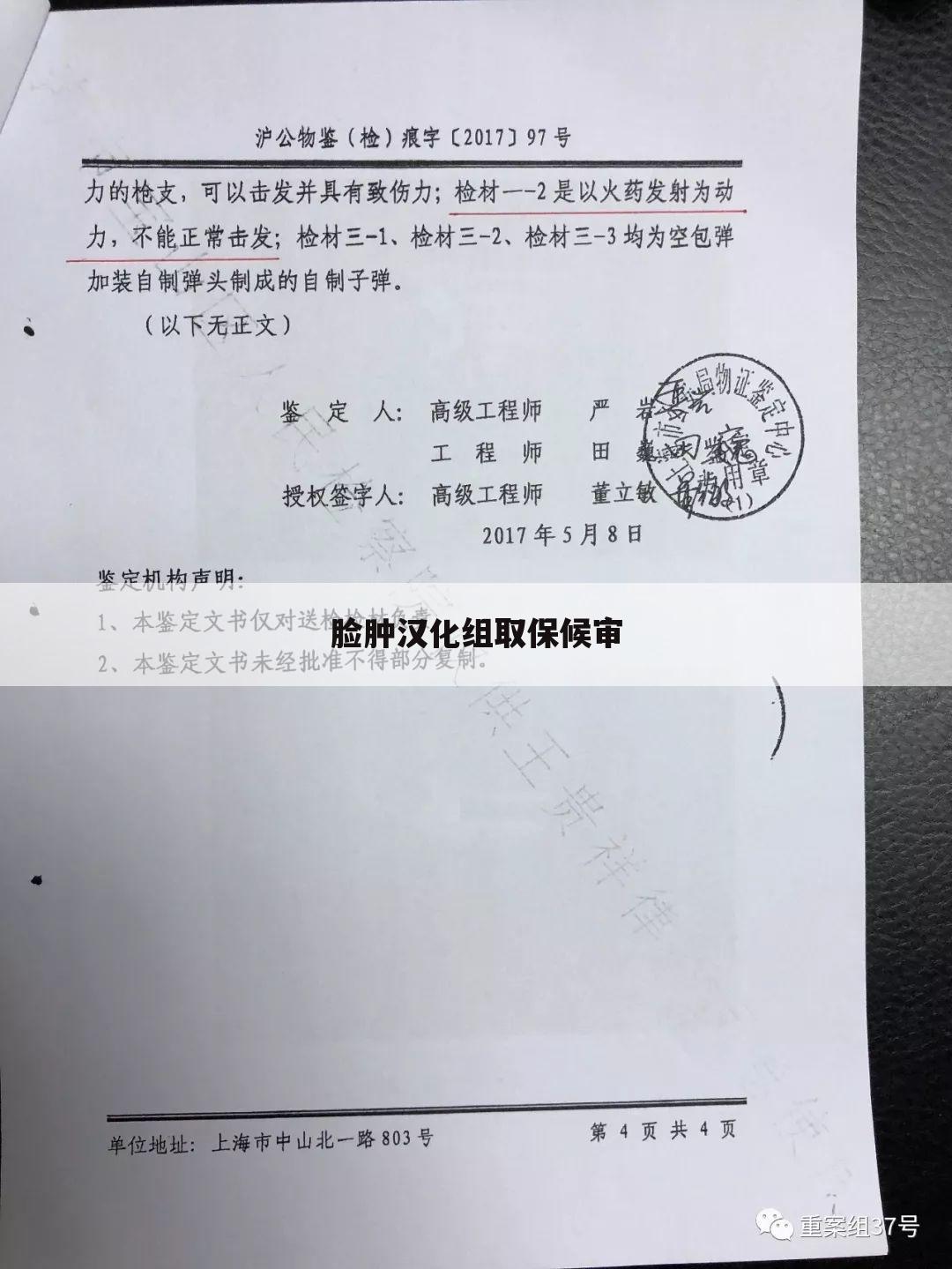 脸肿汉化组取保候审