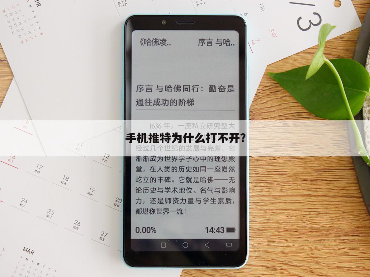 手机推特为什么打不开?