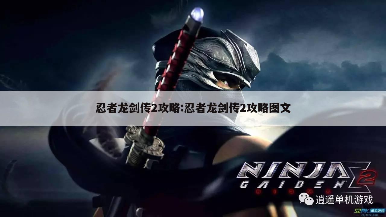 忍者龙剑传2攻略:忍者龙剑传2攻略图文