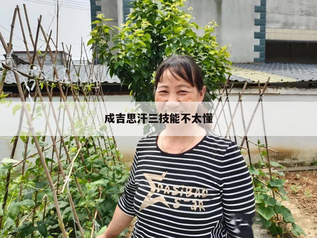 成吉思汗三技能不太懂