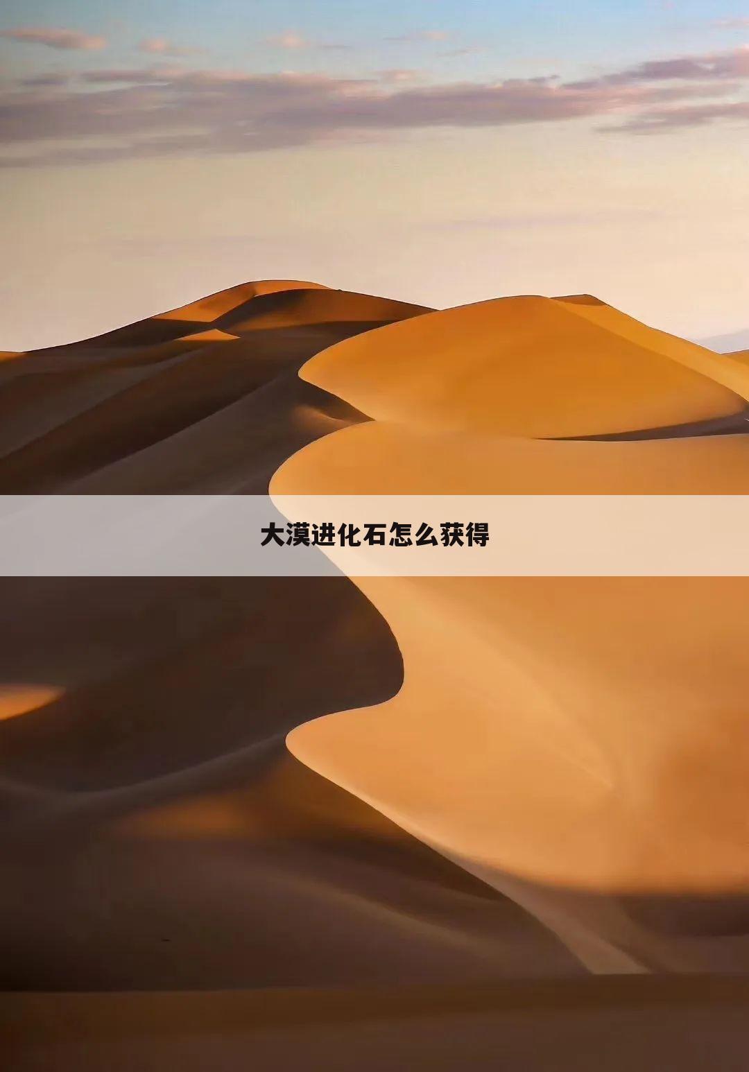 大漠进化石怎么获得