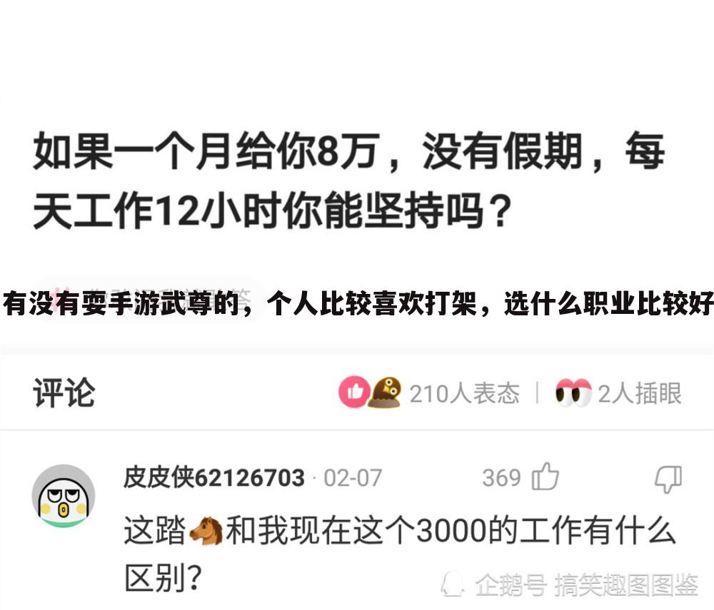 有没有耍手游武尊的,个人比较喜欢打架,选什么职业比较好