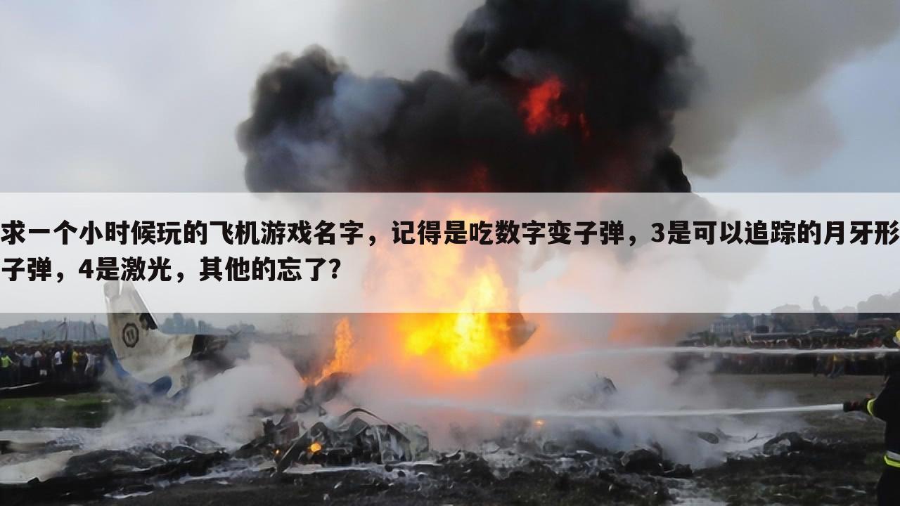 求一个小时候玩的飞机游戏名字,记得是吃数字变子弹,3是可以追踪的月牙形子弹,4是激光,其他的忘了?