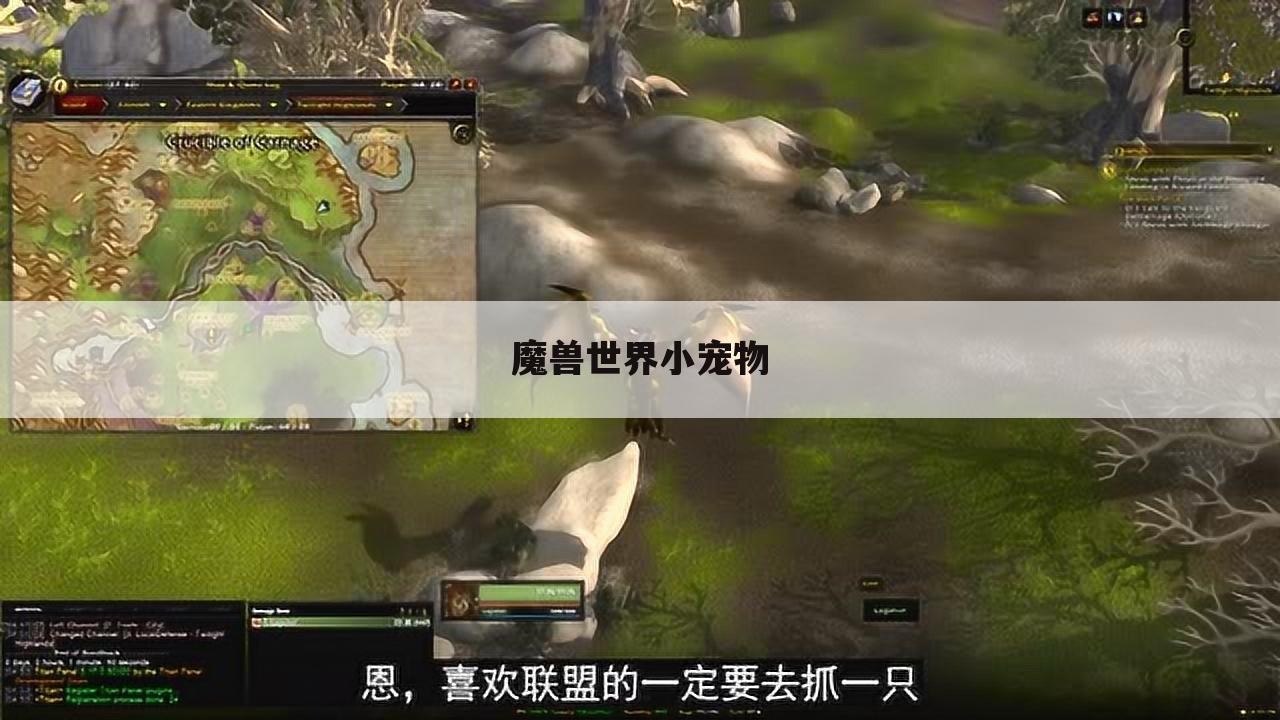 魔兽世界小宠物
