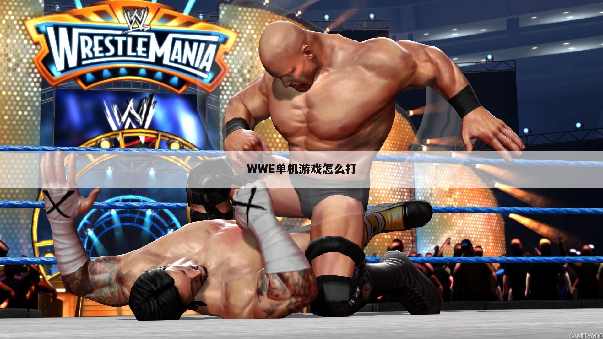 WWE单机游戏怎么打