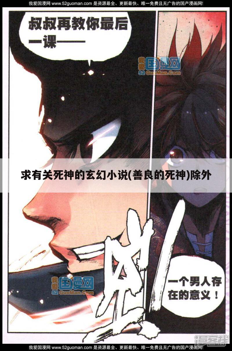 求有关死神的玄幻小说(善良的死神)除外
