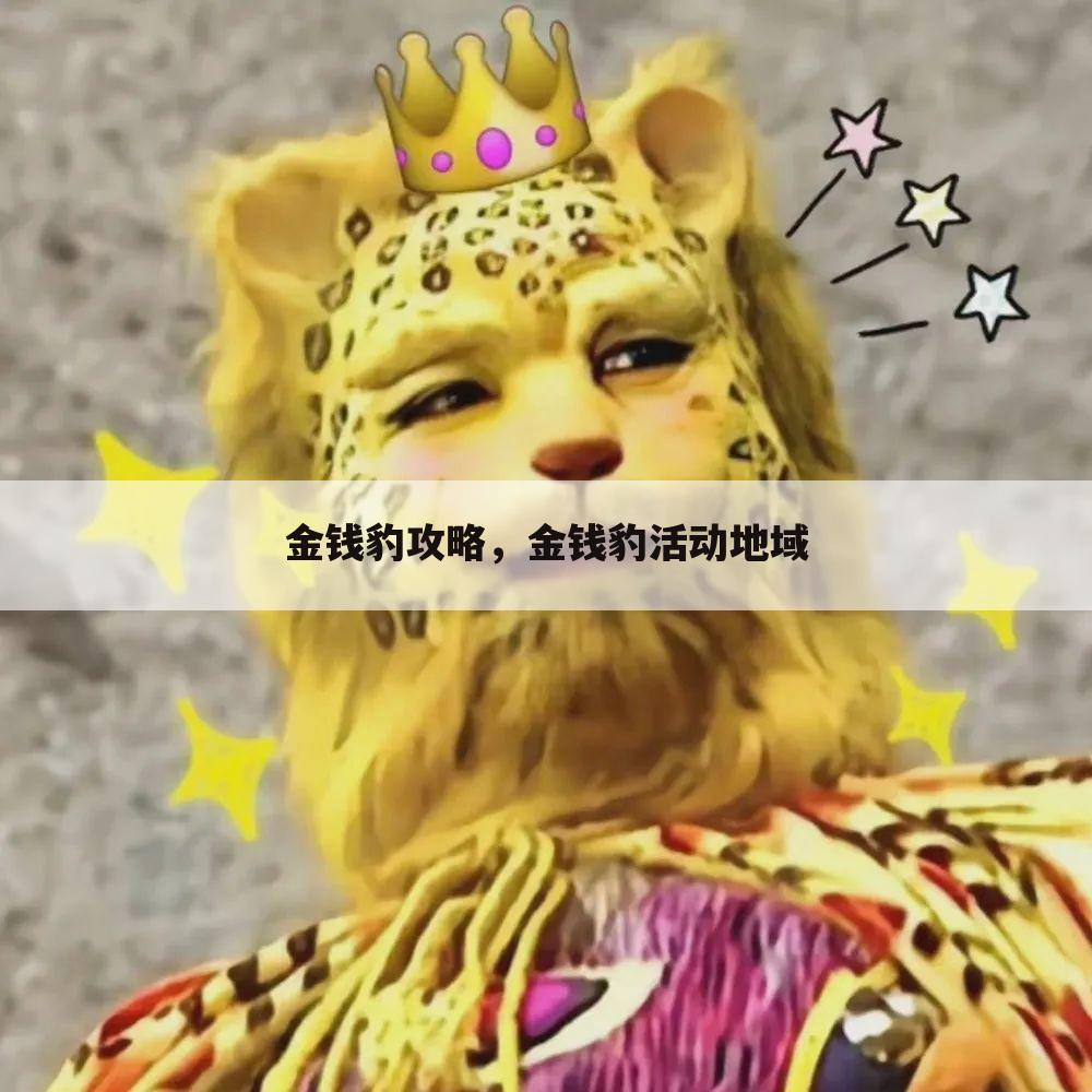 金钱豹攻略，金钱豹活动地域
