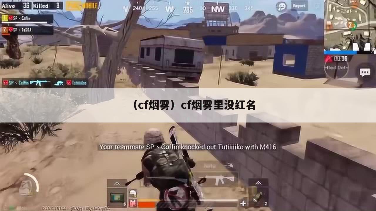 （cf烟雾）cf烟雾里没红名