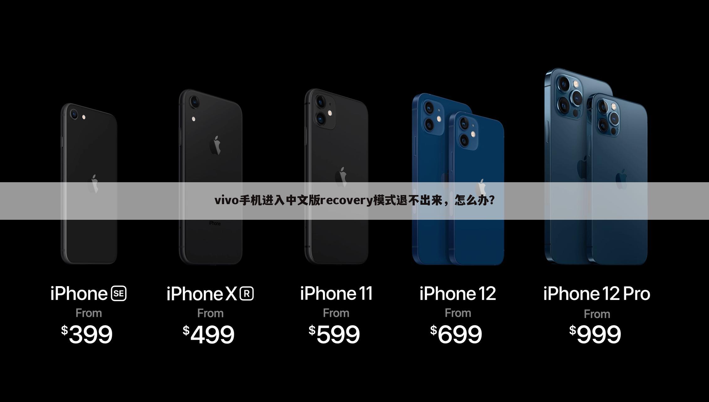 vivo手机进入中文版recovery模式退不出来,怎么办?