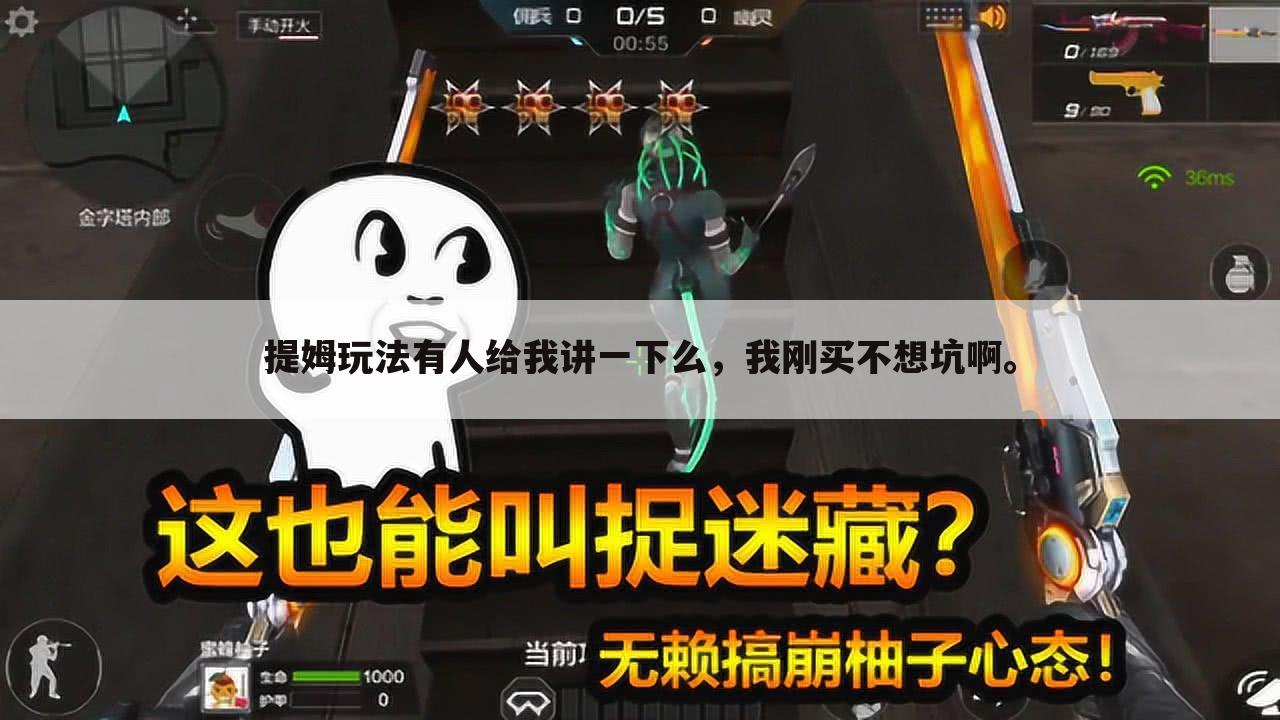 提姆玩法有人给我讲一下么,我刚买不想坑啊。