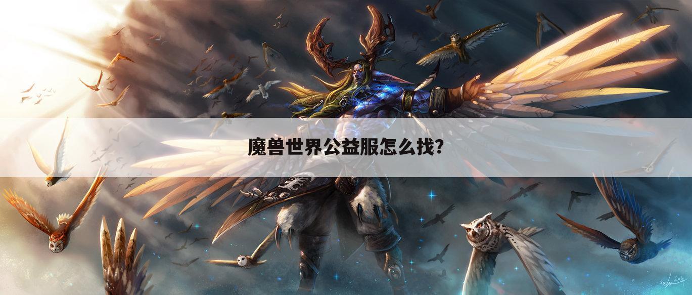 魔兽世界公益服怎么找?