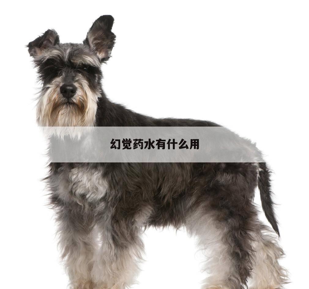 幻觉药水有什么用