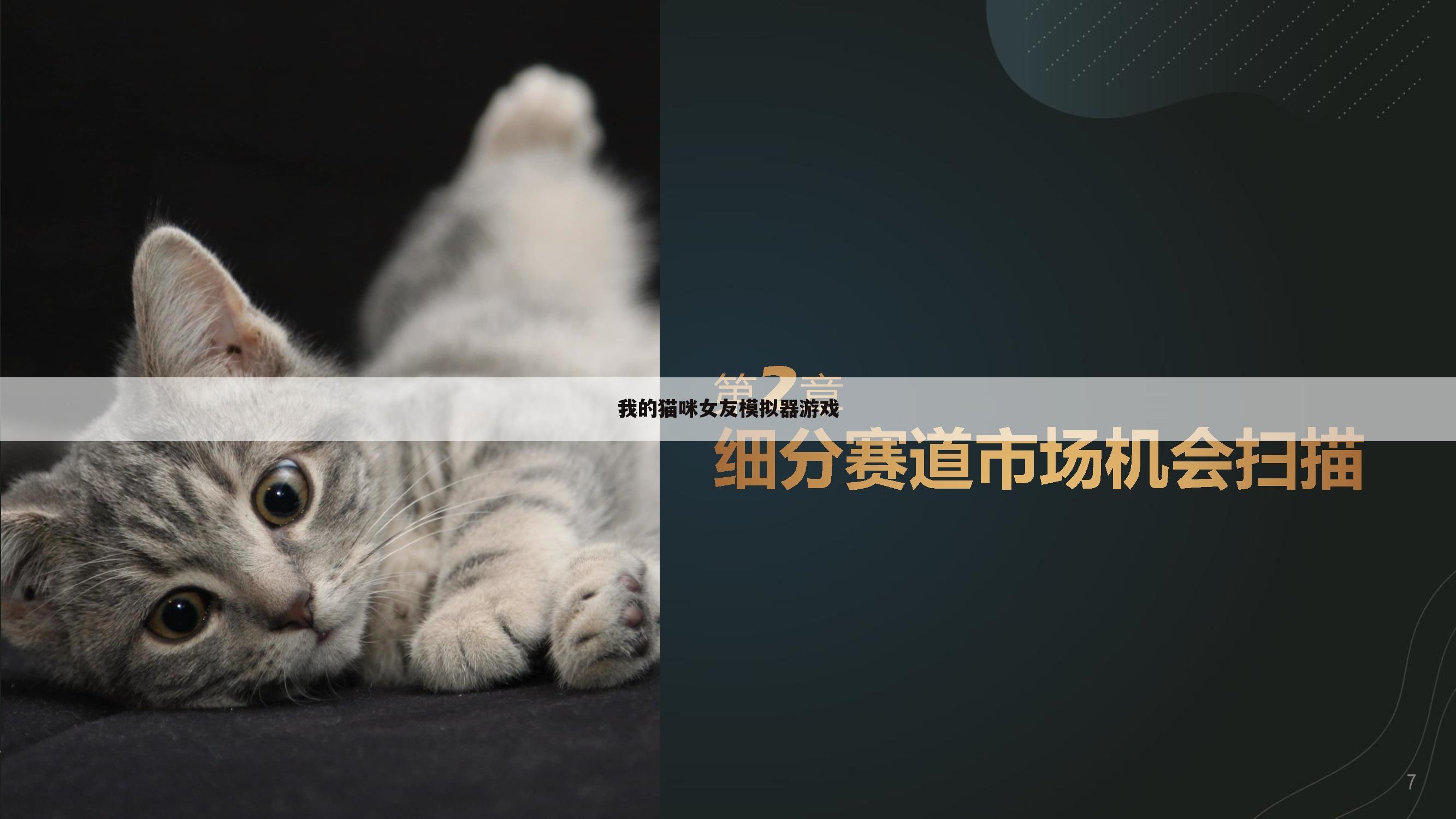 我的猫咪女友模拟器游戏