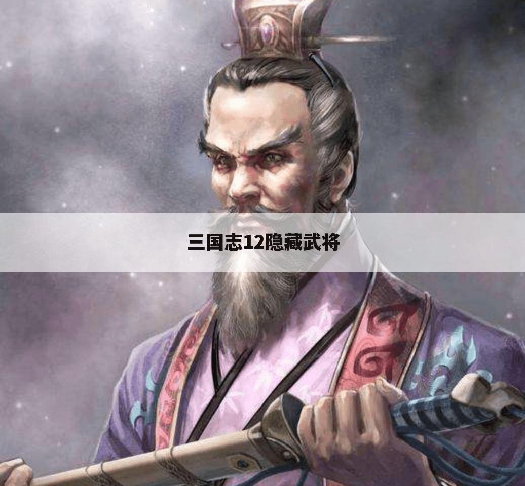 三国志12隐藏武将