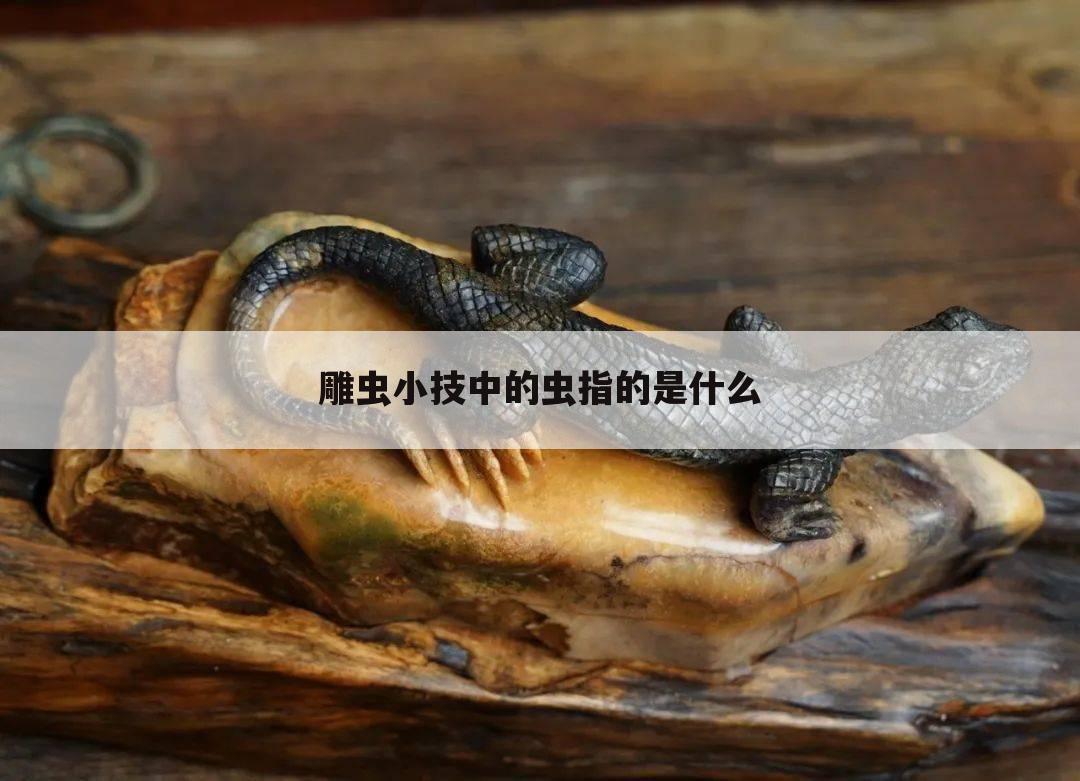 雕虫小技中的虫指的是什么