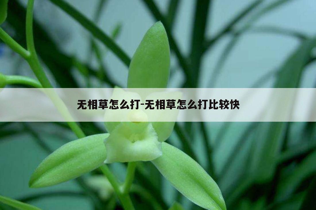 无相草怎么打-无相草怎么打比较快