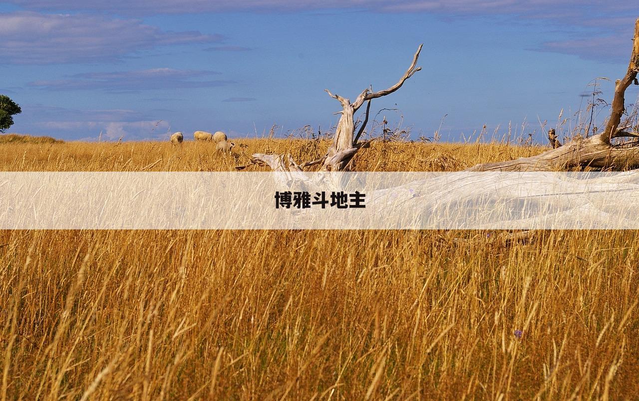 博雅斗地主