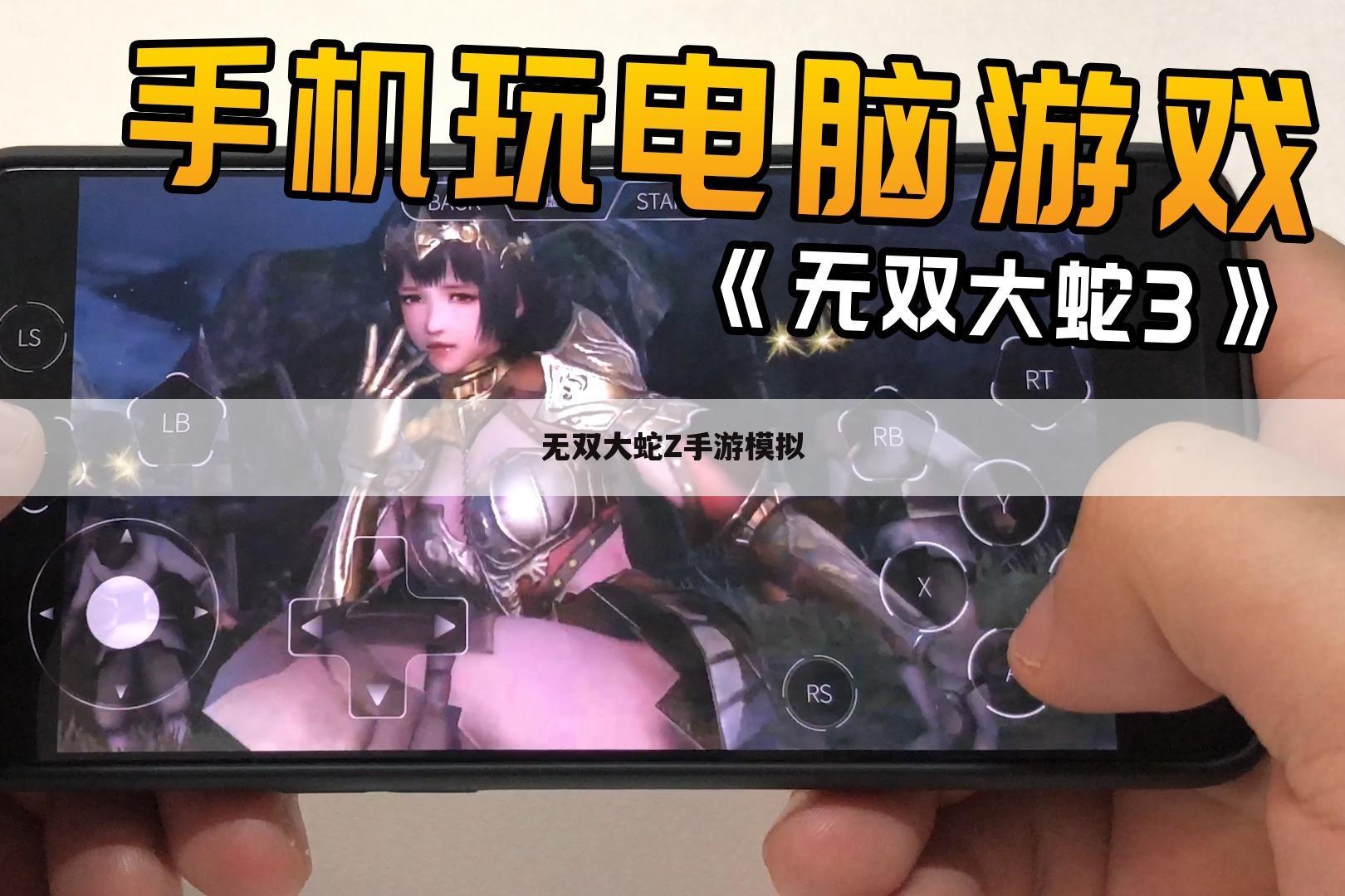 无双大蛇Z手游模拟