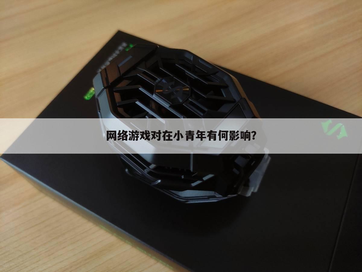 网络游戏对在小青年有何影响？