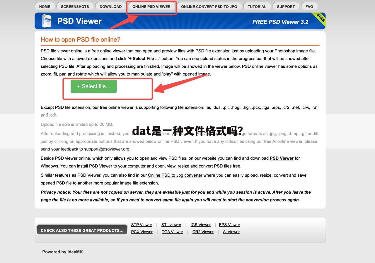 dat是一种文件格式吗?