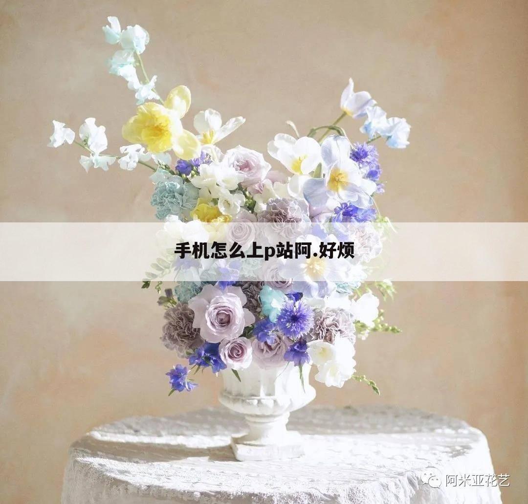 手机怎么上p站阿.好烦
