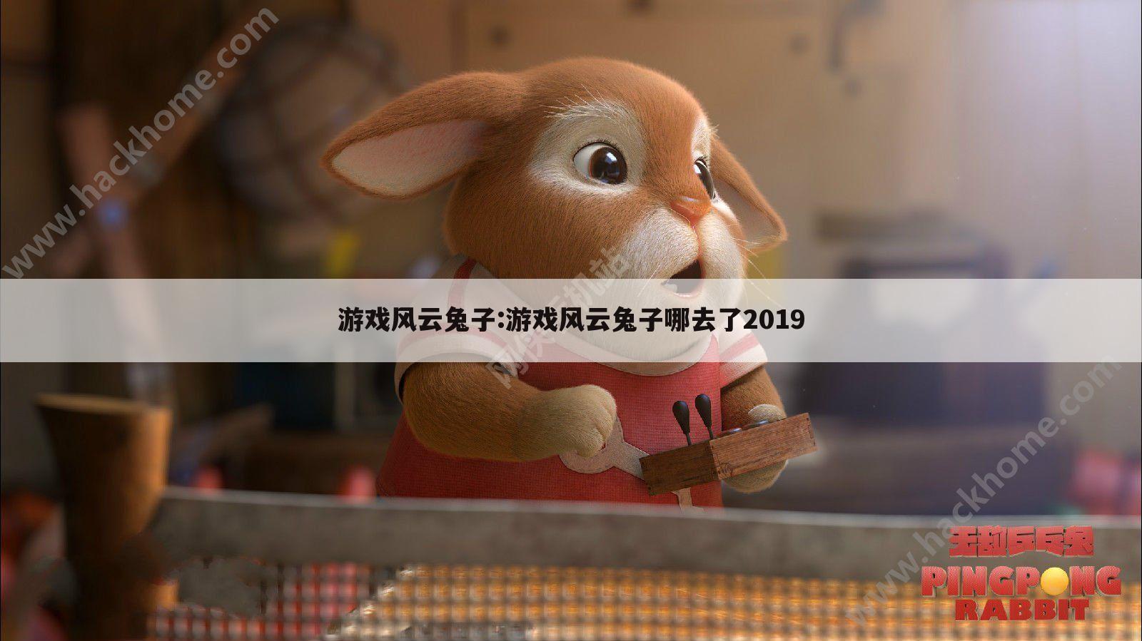 游戏风云兔子:游戏风云兔子哪去了2019