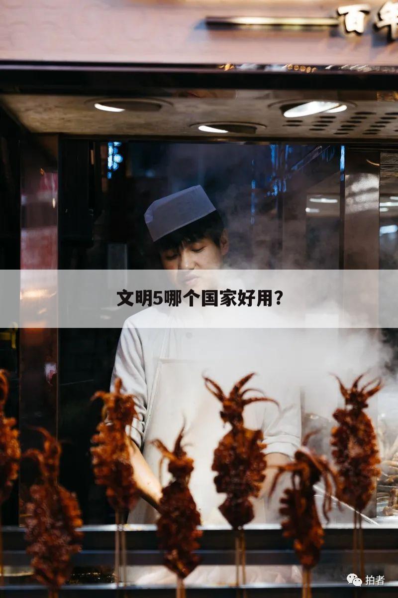 文明5哪个国家好用?