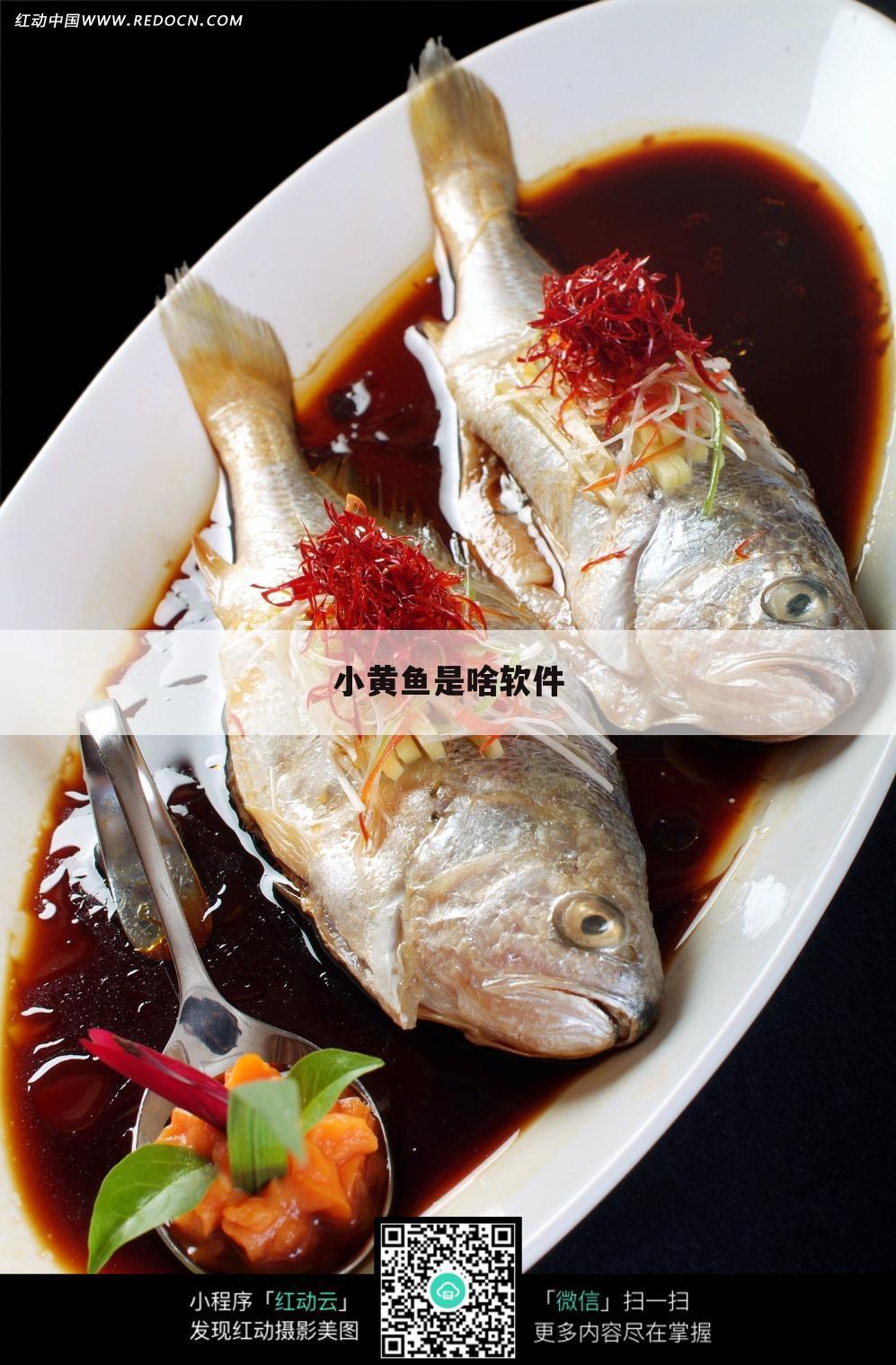 小黄鱼是啥软件