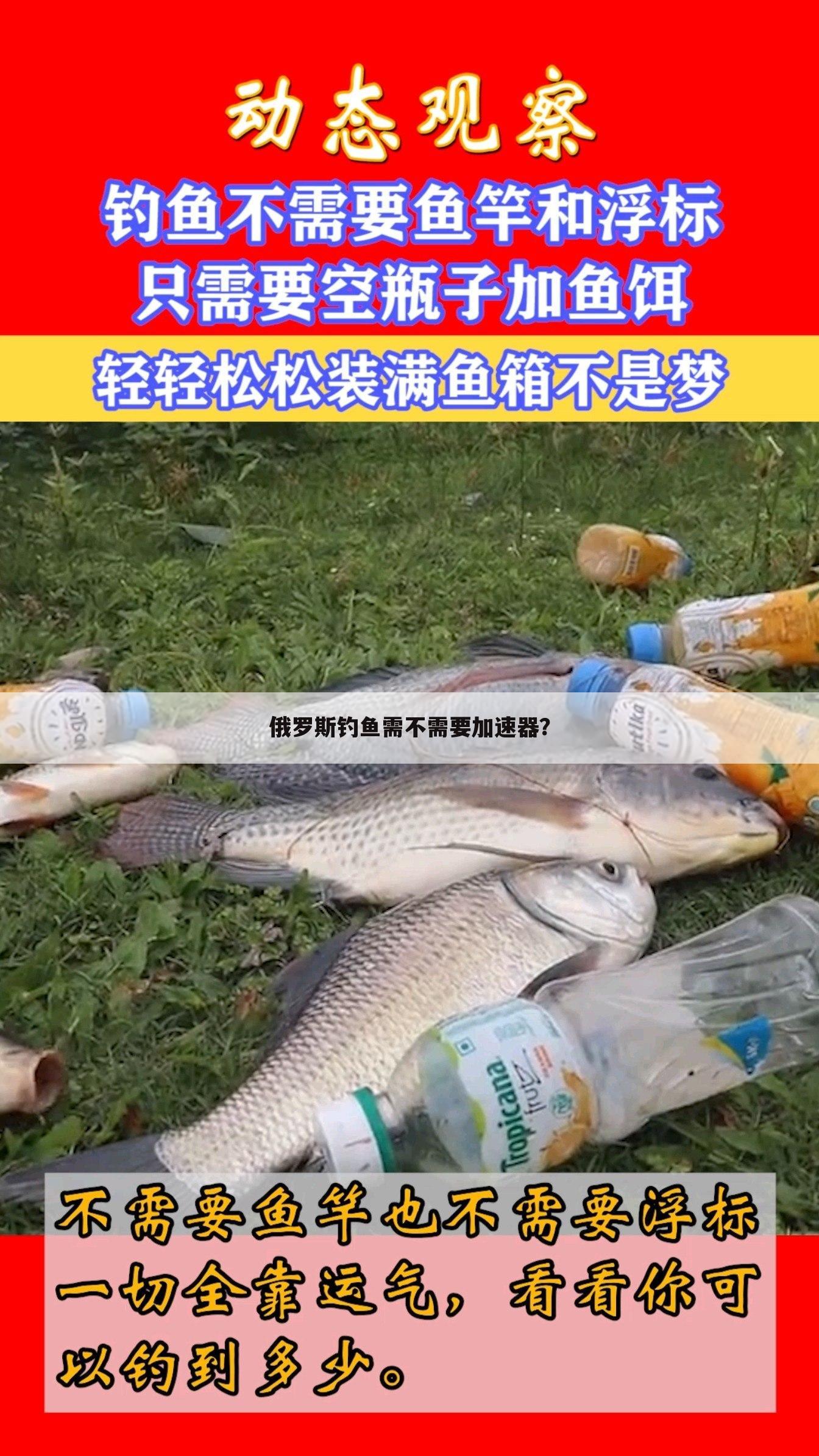 俄罗斯钓鱼需不需要加速器?