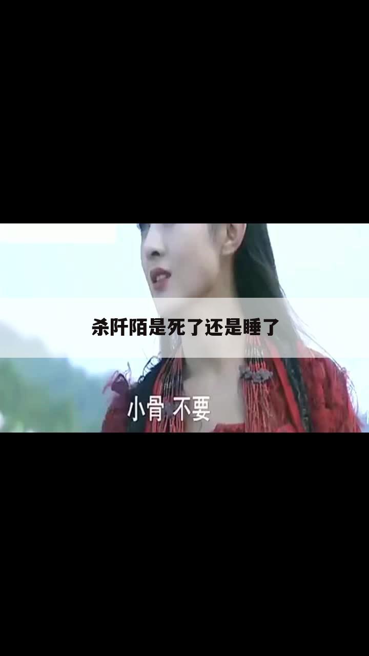 杀阡陌是死了还是睡了