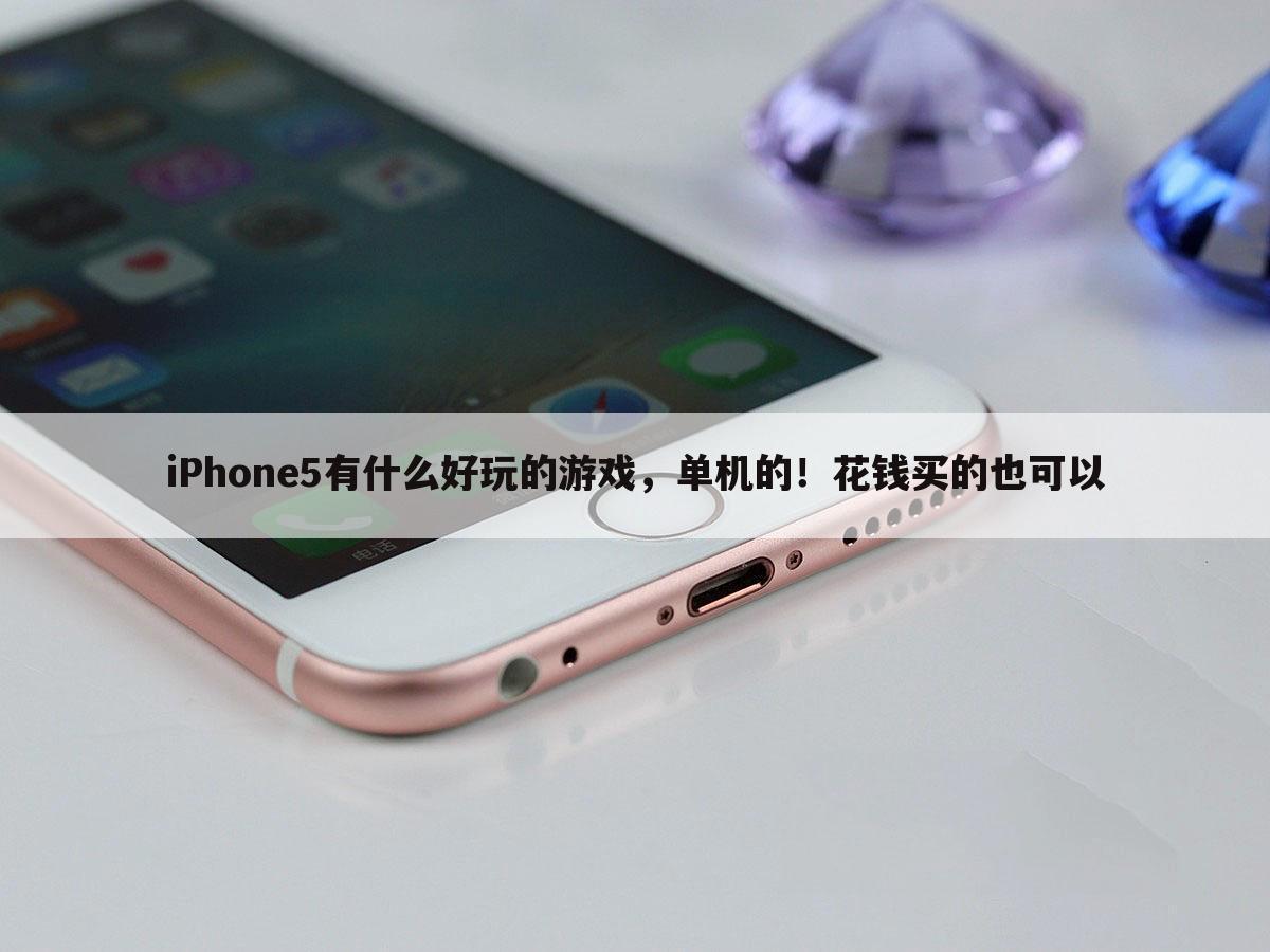 iPhone5有什么好玩的游戏,单机的!花钱买的也可以