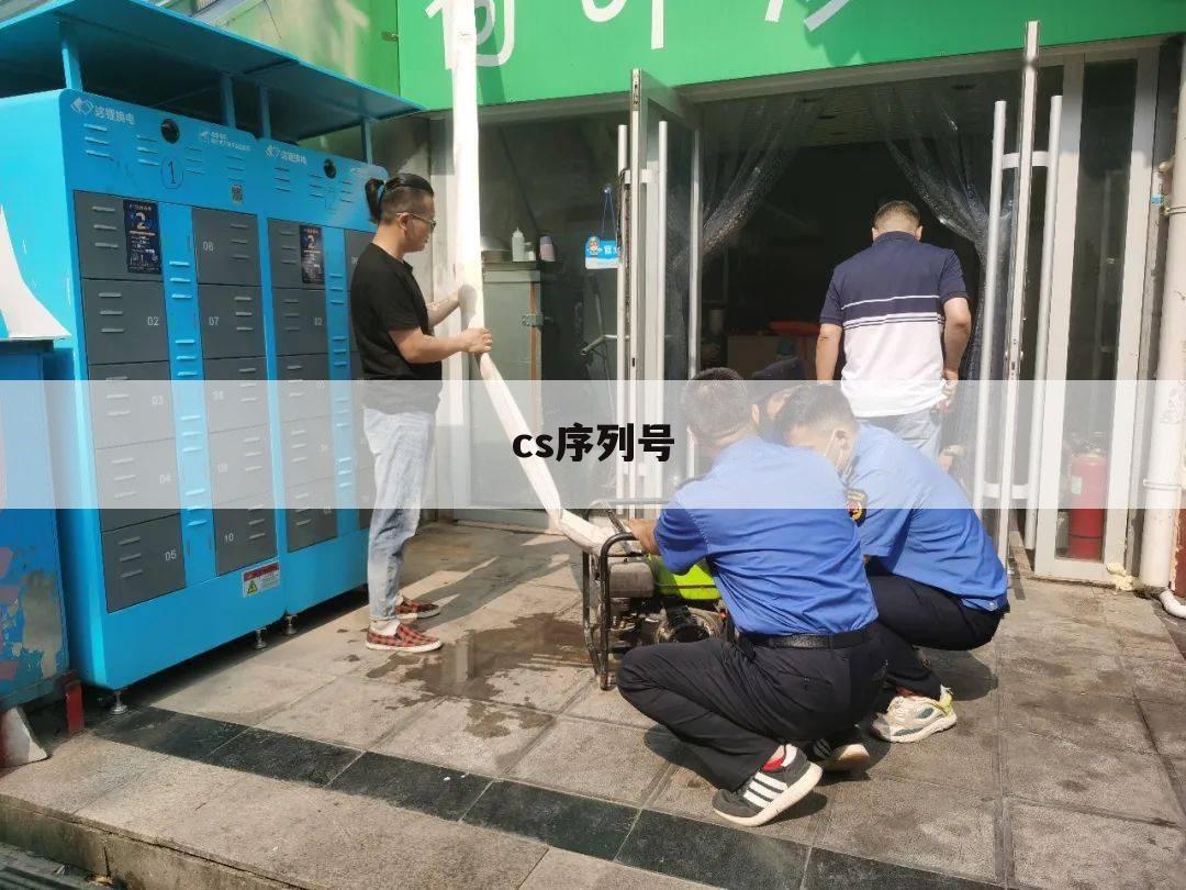 cs序列号