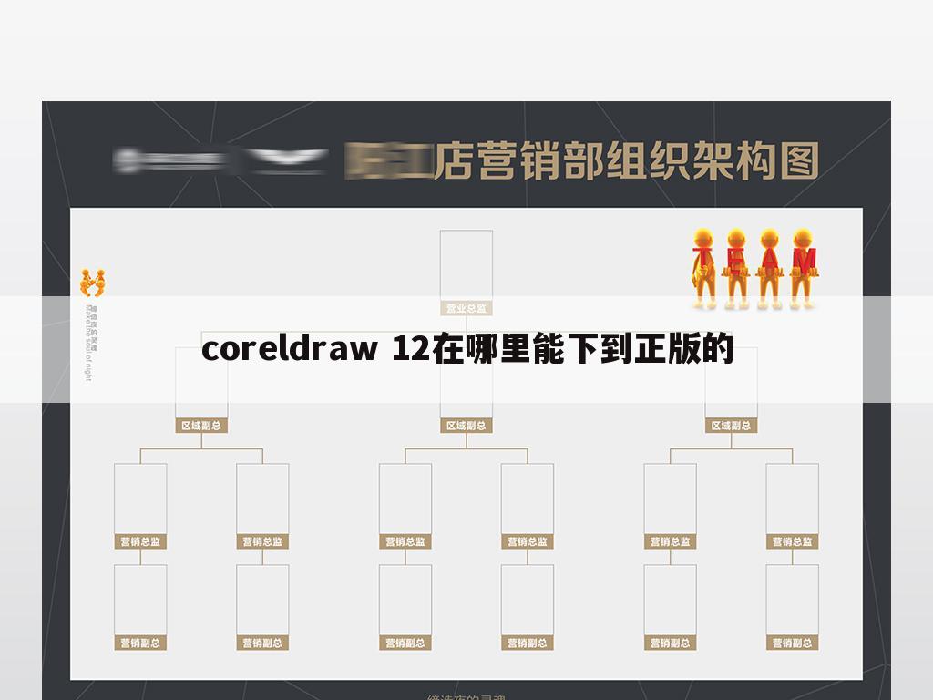 coreldraw 12在哪里能下到正版的