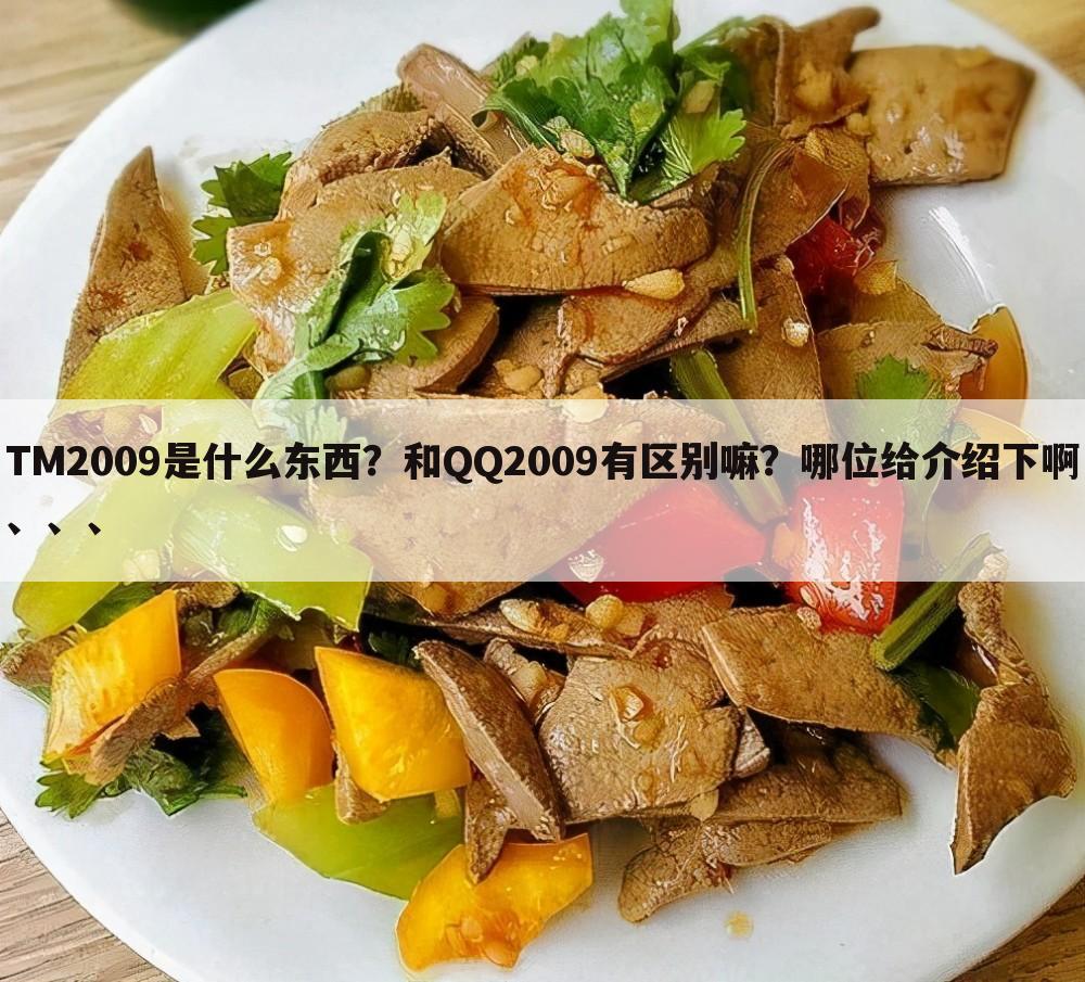 TM2009是什么东西?和QQ2009有区别嘛?哪位给介绍下啊、、、