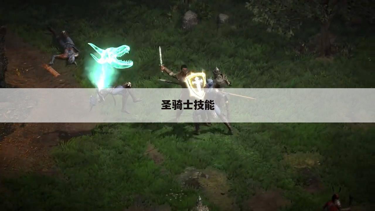 圣骑士技能