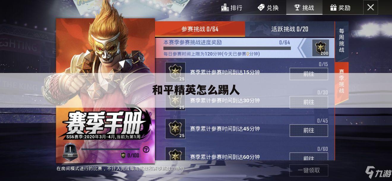和平精英怎么踢人