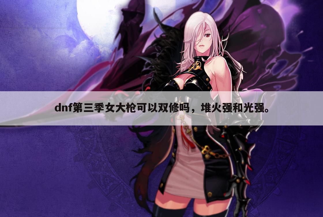 dnf第三季女大枪可以双修吗,堆火强和光强。
