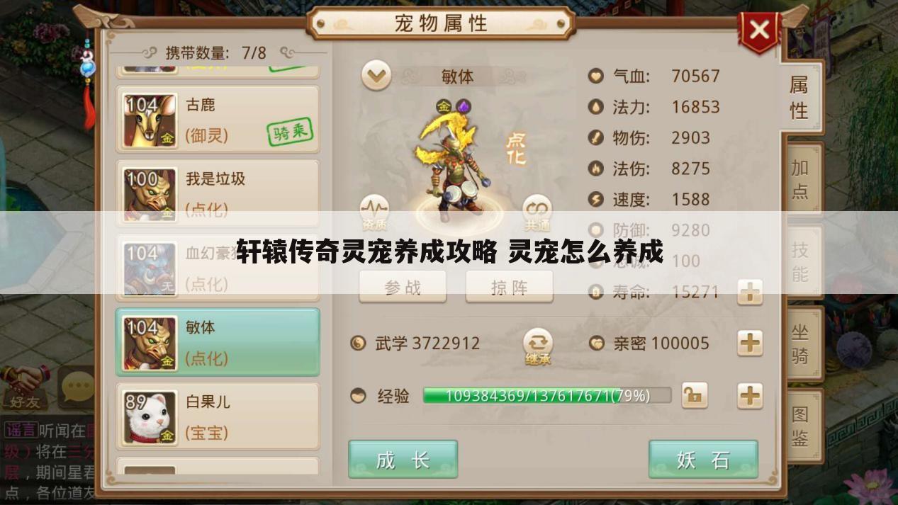 轩辕传奇灵宠养成攻略 灵宠怎么养成