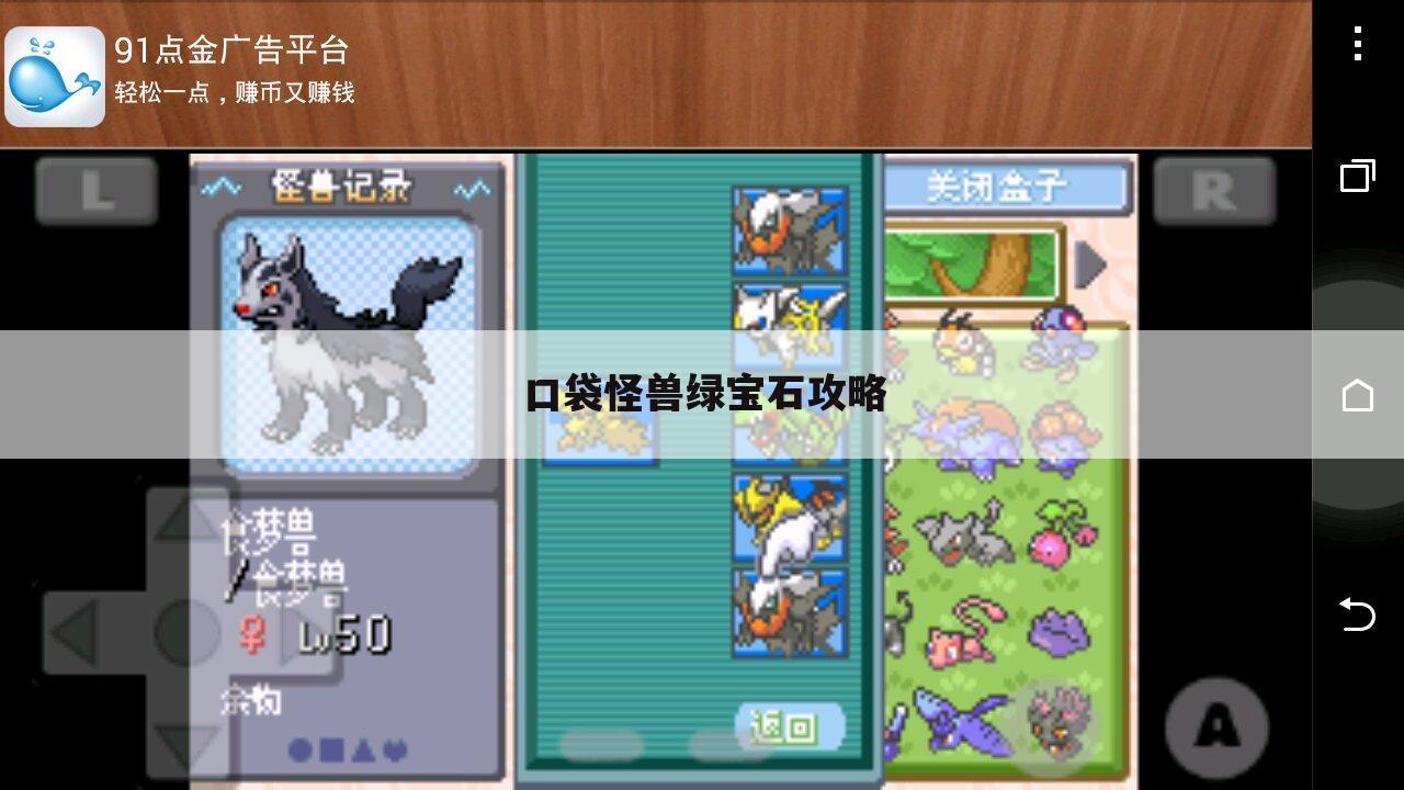 口袋怪兽绿宝石攻略