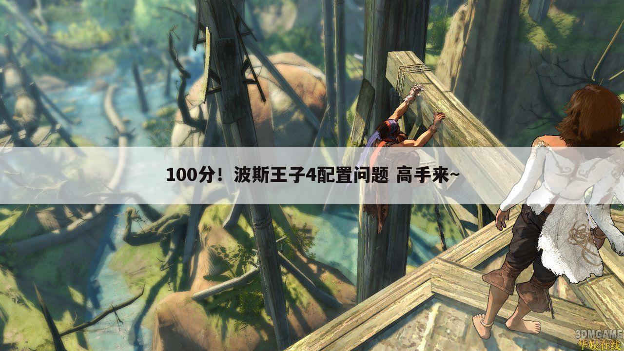 100分!波斯王子4配置问题 高手来~