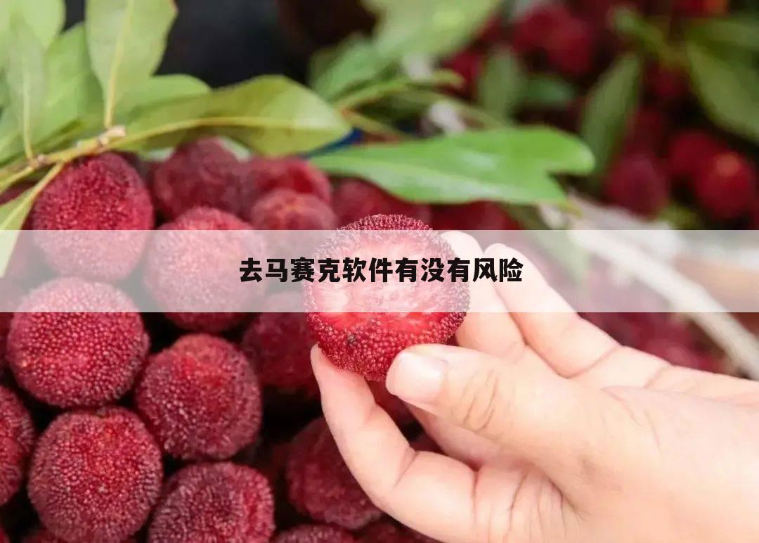 去马赛克软件有没有风险