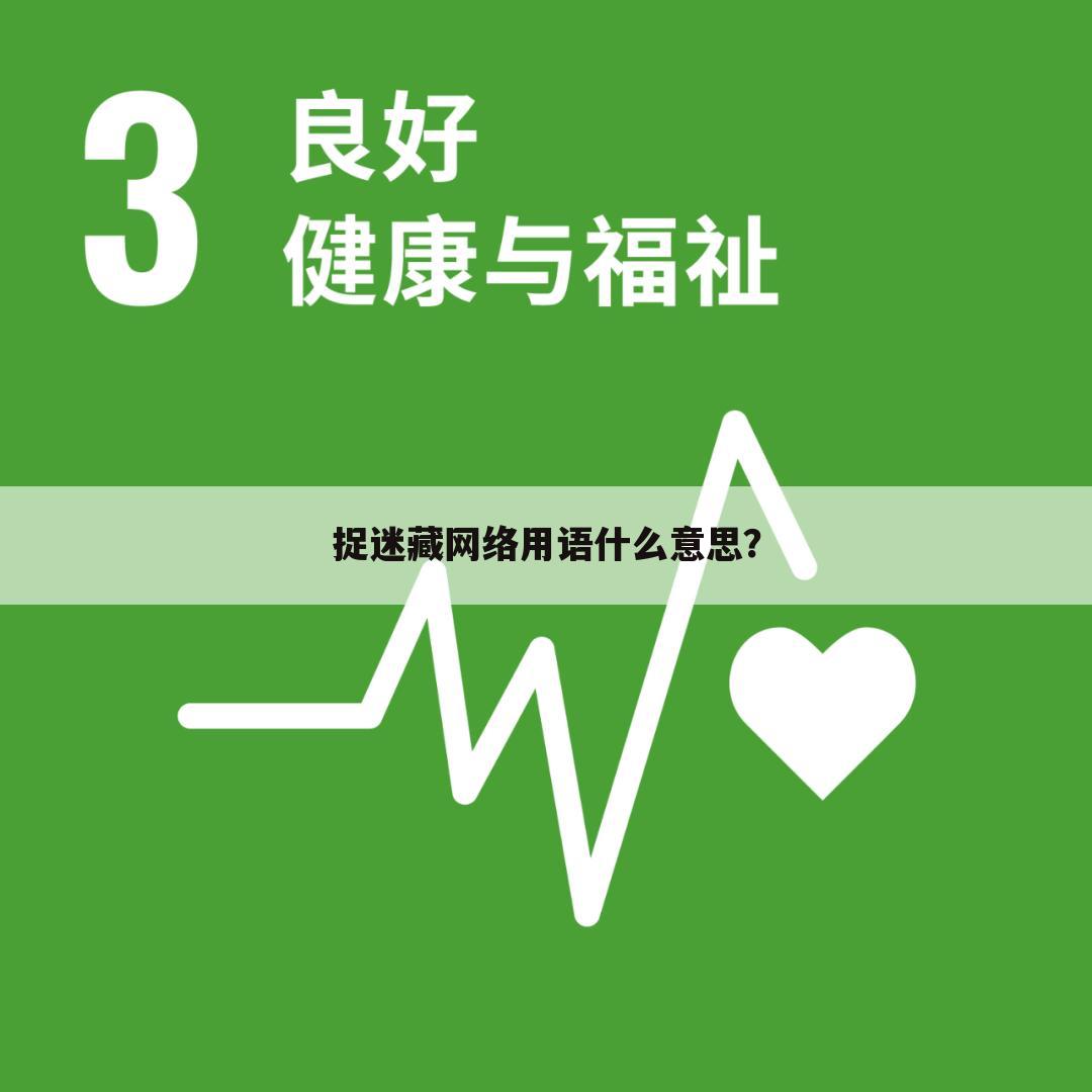 捉迷藏网络用语什么意思?