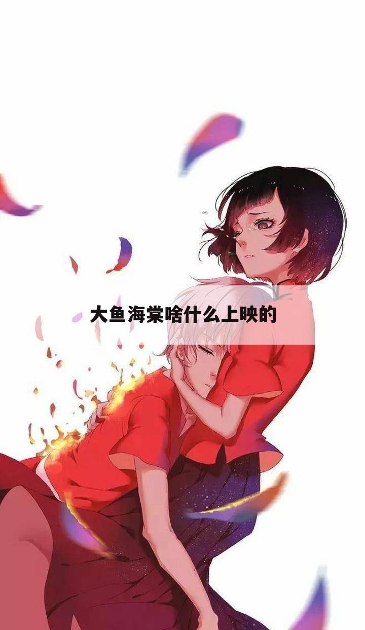 大鱼海棠啥什么上映的